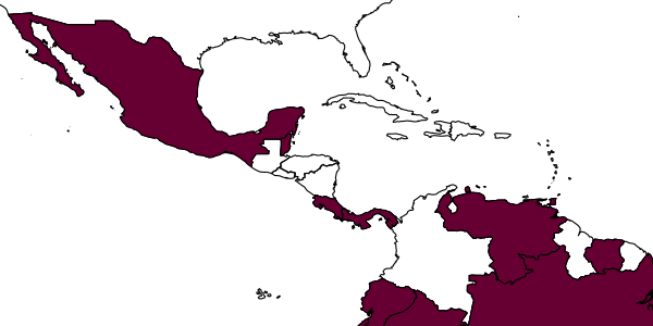 map of Dryinus gibbosus     (Olmi, 1984)
